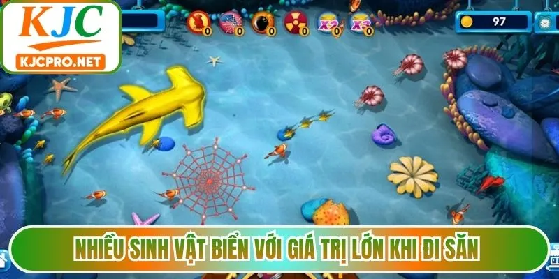Nhiều sinh vật biển với giá trị lớn khi đi săn 