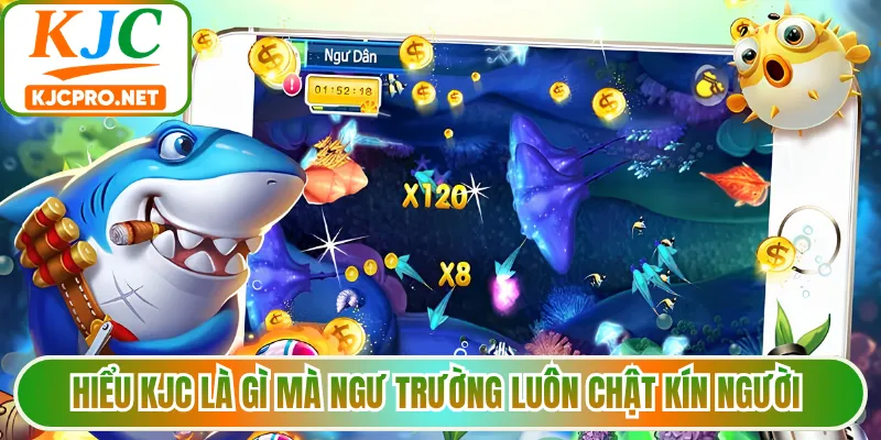 Hiểu KJC là gì mà ngư trường luôn chật kín người 